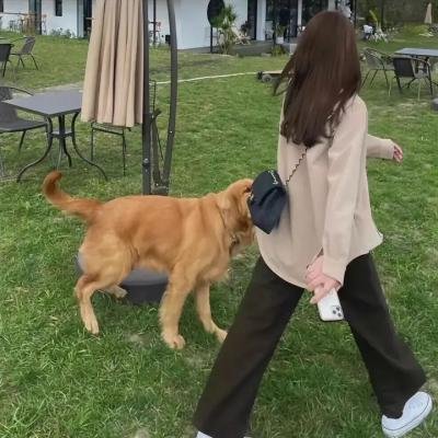 冬春的日子
